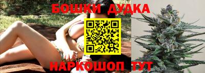индика Краснокаменск