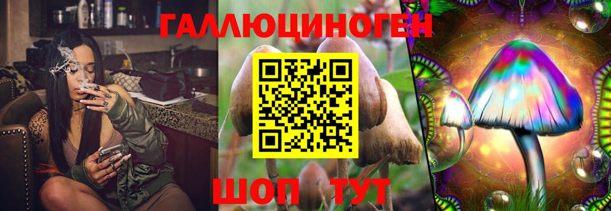 Галлюциногенные грибы GOLDEN TEACHER  Псилоцибиновые грибы Magic Shrooms  Казань  Вход с VPN 